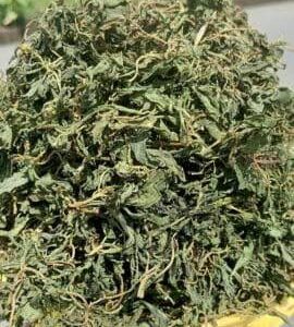 WATERLEAF (Dried)